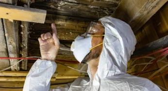 How The Termite Inspection Process Works