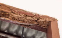 what is WDI inspection