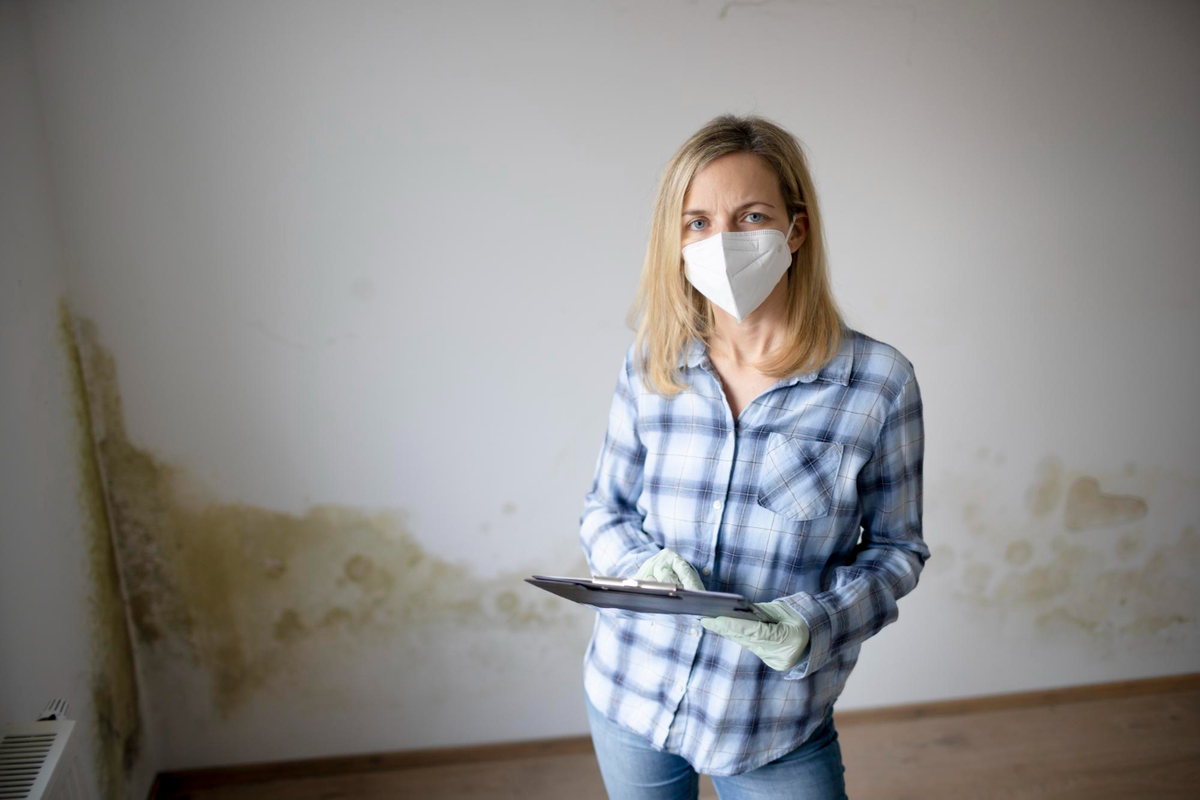 The Role of Mold Assessment in Protecting Indoor Air Quality